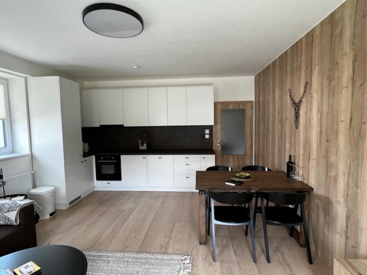Klinovec Apartments Luxury Loučná pod Klínovcem Exteriér fotografie