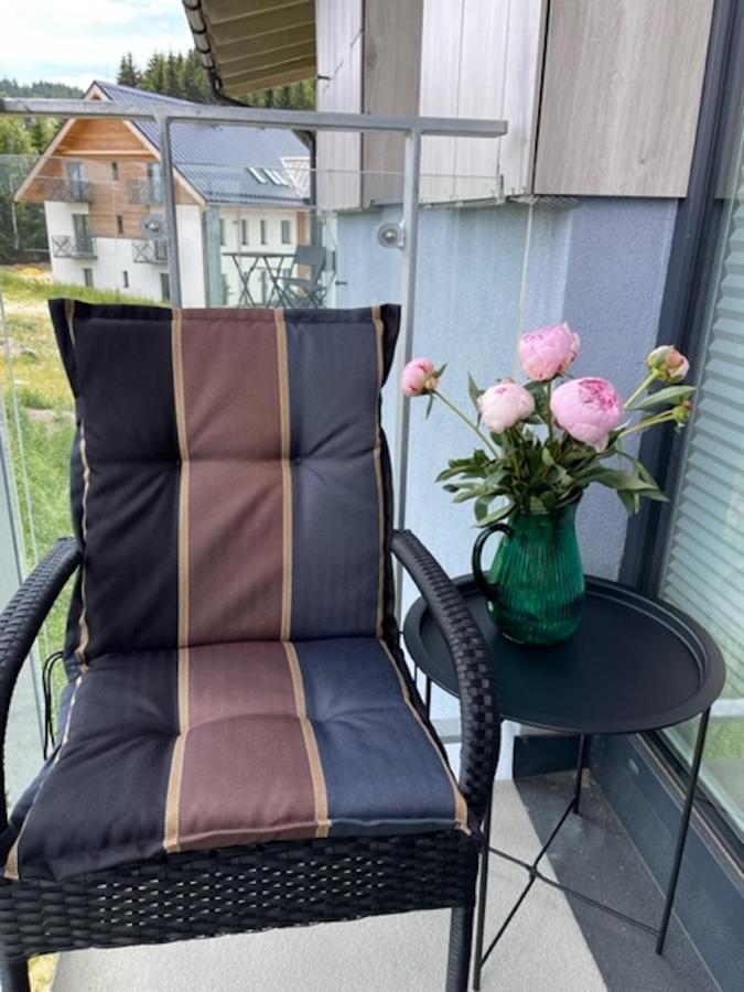 Klinovec Apartments Luxury Loučná pod Klínovcem Exteriér fotografie